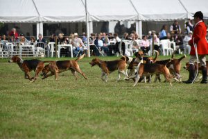 A Visit To Chatsworth Country Fair, September, 2026