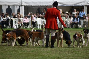 A Visit To Chatsworth Country Fair, September, 2026