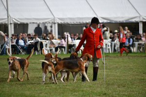 A Visit To Chatsworth Country Fair, September, 2026