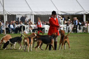 A Visit To Chatsworth Country Fair, September, 2026