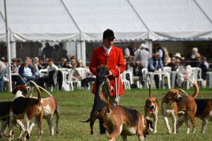 A Visit To Chatsworth Country Fair, September, 2026