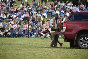 A Visit To Chatsworth Country Fair, September, 2026