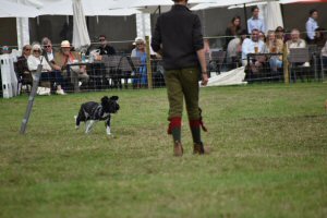 A Visit To Chatsworth Country Fair, September, 2026