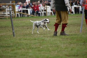 A Visit To Chatsworth Country Fair, September, 2026