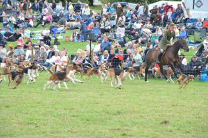 A Visit To Chatsworth Country Fair, September, 2026
