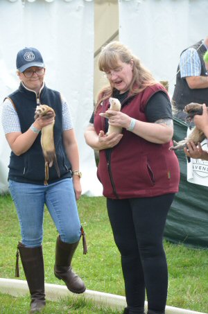 A Visit To Chatsworth Country Fair, September, 2026