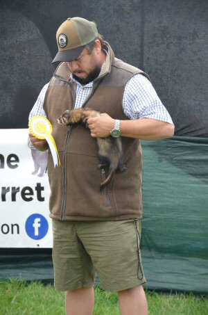 A Visit To Chatsworth Country Fair, September, 2026
