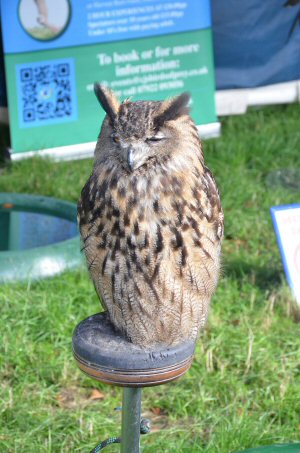 A Visit To Chatsworth Country Fair, September, 2026