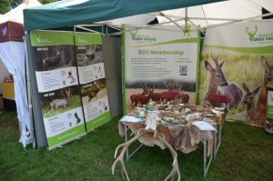 A Visit To Chatsworth Country Fair, September, 2026