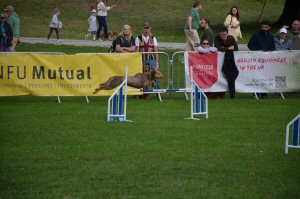 A Visit To Chatsworth Country Fair, September, 2026