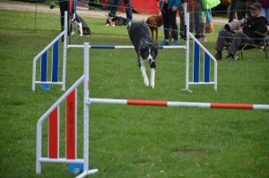 A Visit To Chatsworth Country Fair, September, 2026