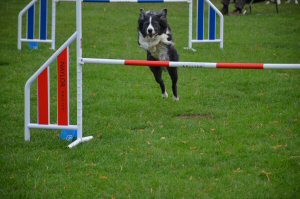 A Visit To Chatsworth Country Fair, September, 2026