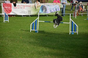 A Visit To Chatsworth Country Fair, September, 2026