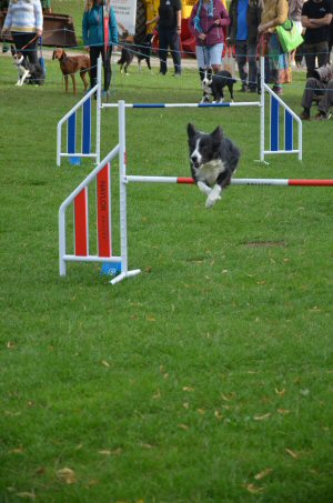 A Visit To Chatsworth Country Fair, September, 2026