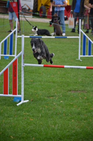 A Visit To Chatsworth Country Fair, September, 2026
