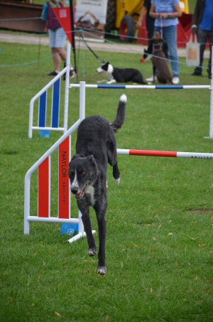A Visit To Chatsworth Country Fair, September, 2026