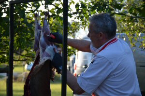 Wild Butchery and Feasting at Amber Valley Vineyards, September 2026
