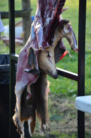 Wild Butchery and Feasting at Amber Valley Vineyards, September 2026