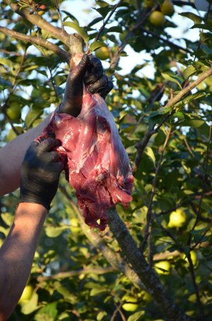 Wild Butchery and Feasting at Amber Valley Vineyards, September 2026