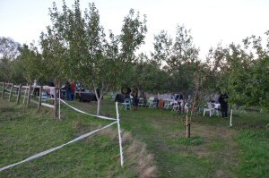 Wild Butchery and Feasting at Amber Valley Vineyards, September 2026