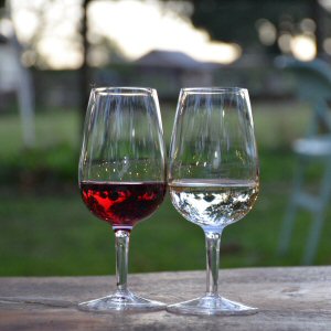 Wild Butchery and Feasting at Amber Valley Vineyards, September 2026