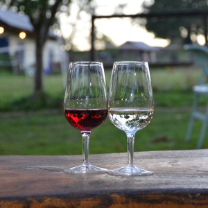Wild Butchery and Feasting at Amber Valley Vineyards, September 2026