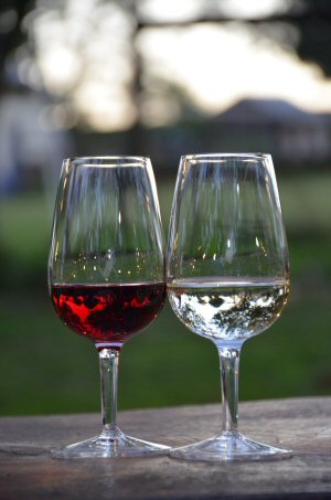 Wild Butchery and Feasting at Amber Valley Vineyards, September 2026